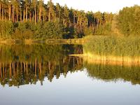 Naturerlebnis Rothsee